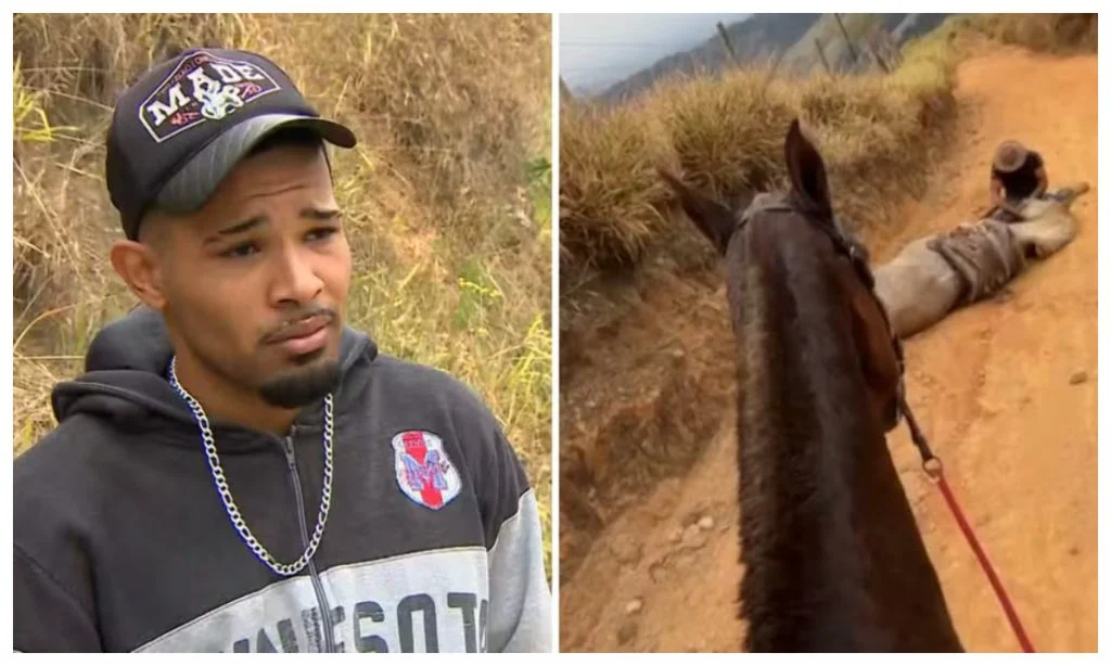 cavalo mutilado sp 1024x614