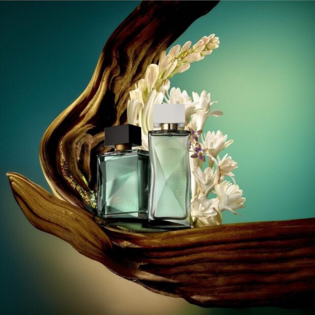 imagem do whatsapp de 2025 12 09 à(s) 17.59.54 3dc1365c