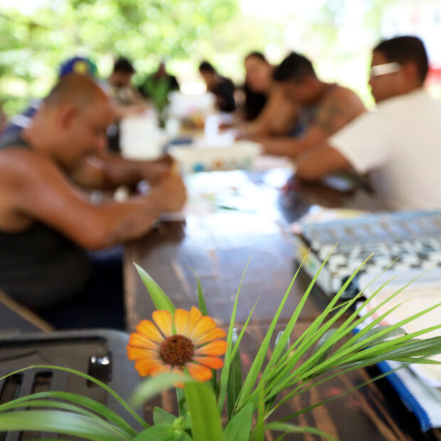 ao todo foram mais de 145 mil procedimentos ambulatoriais entre maio e agosto quase totalidade dos