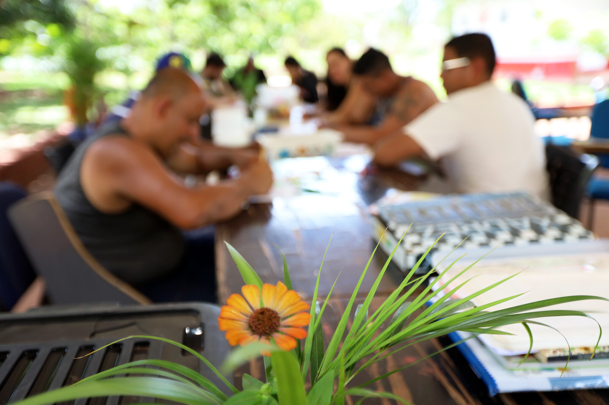 ao todo foram mais de 145 mil procedimentos ambulatoriais entre maio e agosto quase totalidade dos