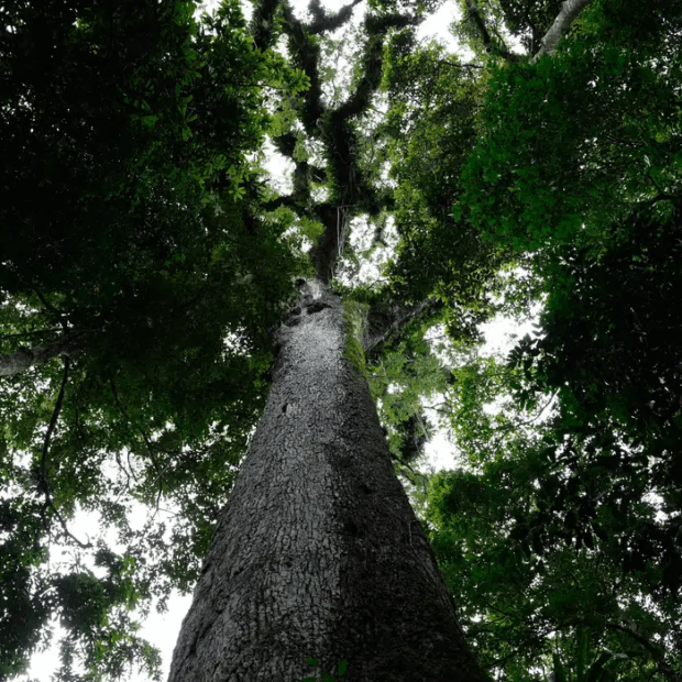 Foto: Fernando Frazão/Agência Brasil
