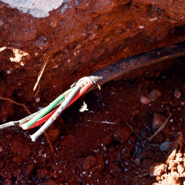 Foto: Gilberto Alves/CEB IPes