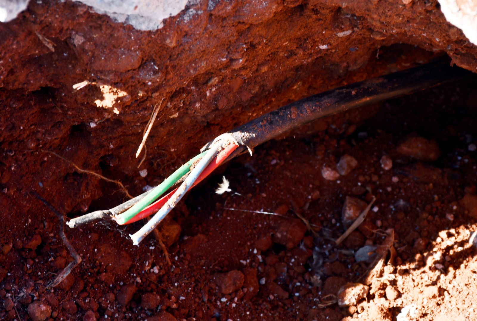 Foto: Gilberto Alves/CEB IPes