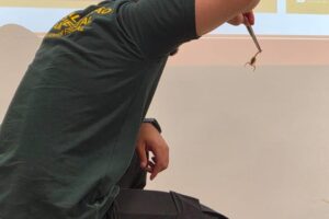 foto 4 mat capacitação dos fiscais