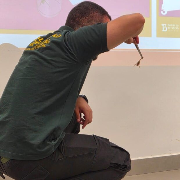 foto 4 mat capacitação dos fiscais