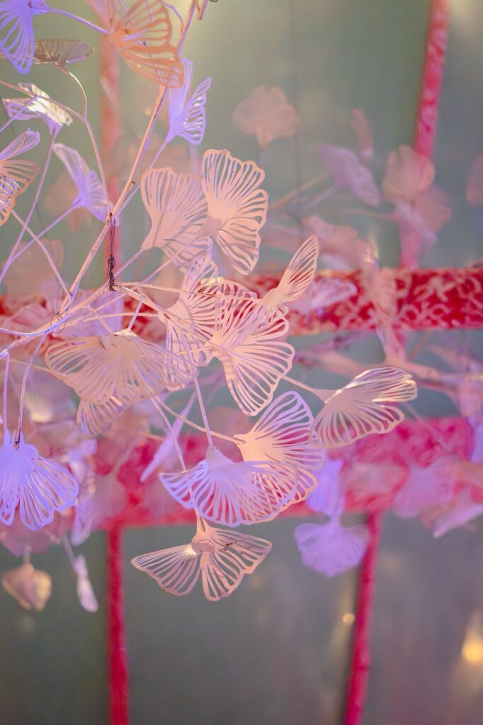 whatsapp image 2025 12 10 at 22.17.22 (1)