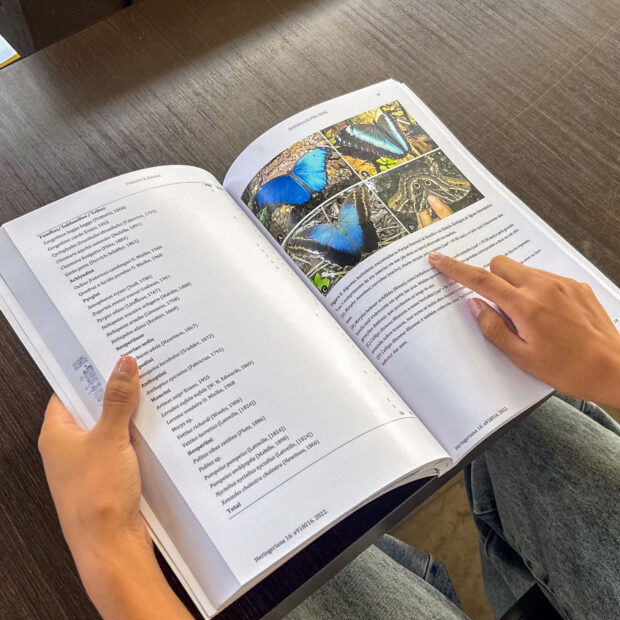 11.12. revista heringeriana. foto divulgação jbb5