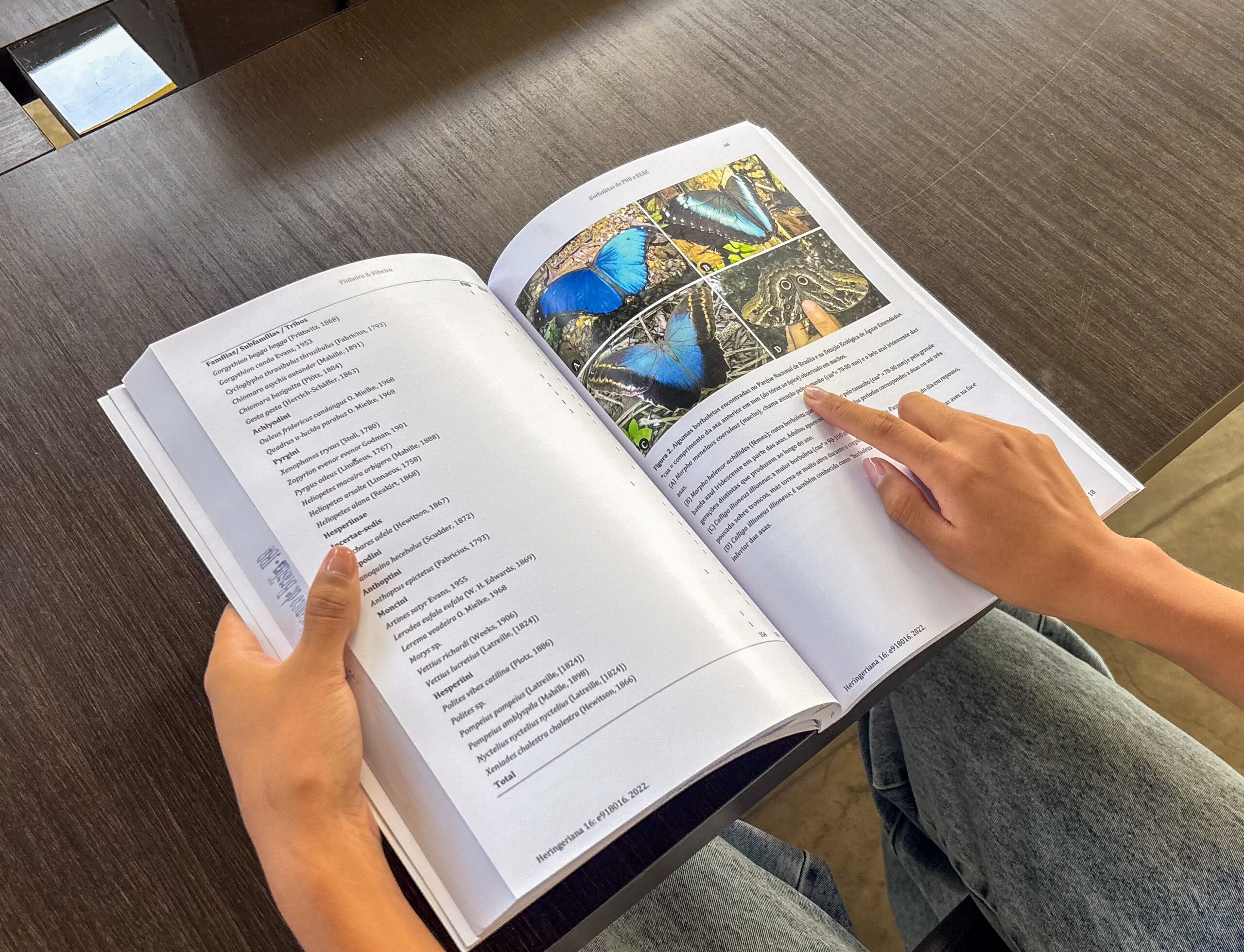 11.12. revista heringeriana. foto divulgação jbb5