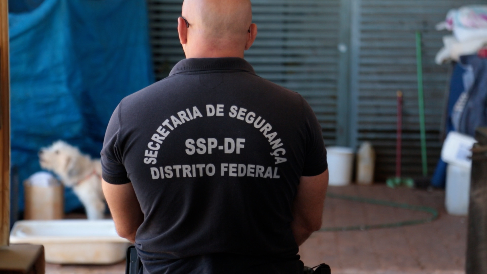 ssp df