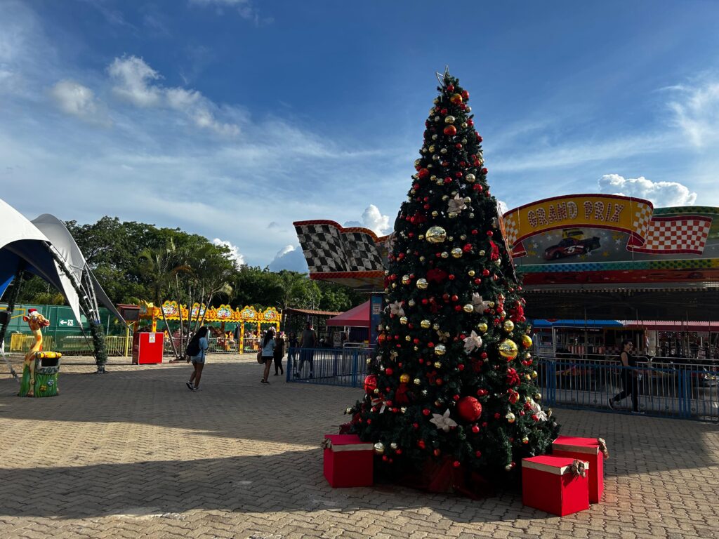 nicolândia terá entrada gratuita para promover natal solidário para crianças do df créditos daniel xavier jornal de brasília (4)