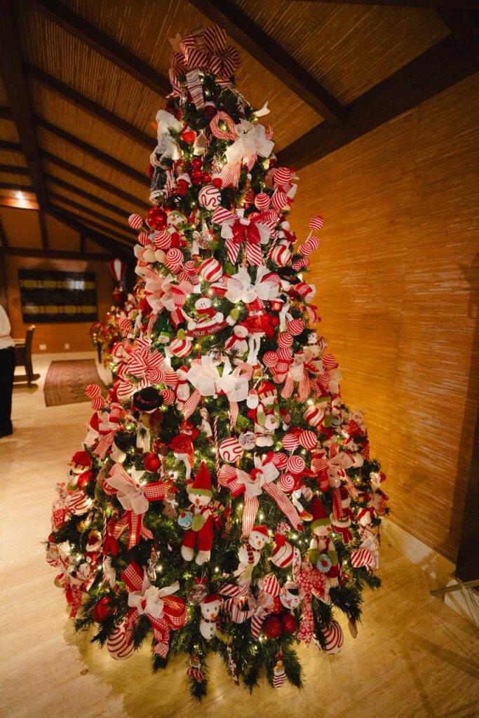 whatsapp image 2025 12 11 at 22.59.50