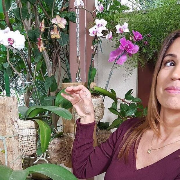 repórter da globo cai da escada, rompe ligamentos do pé e é afastada