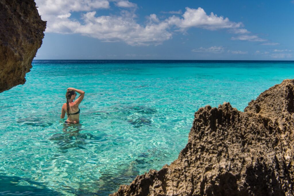 whatsapp image 2025 12 12 at 11.03.36 (1)