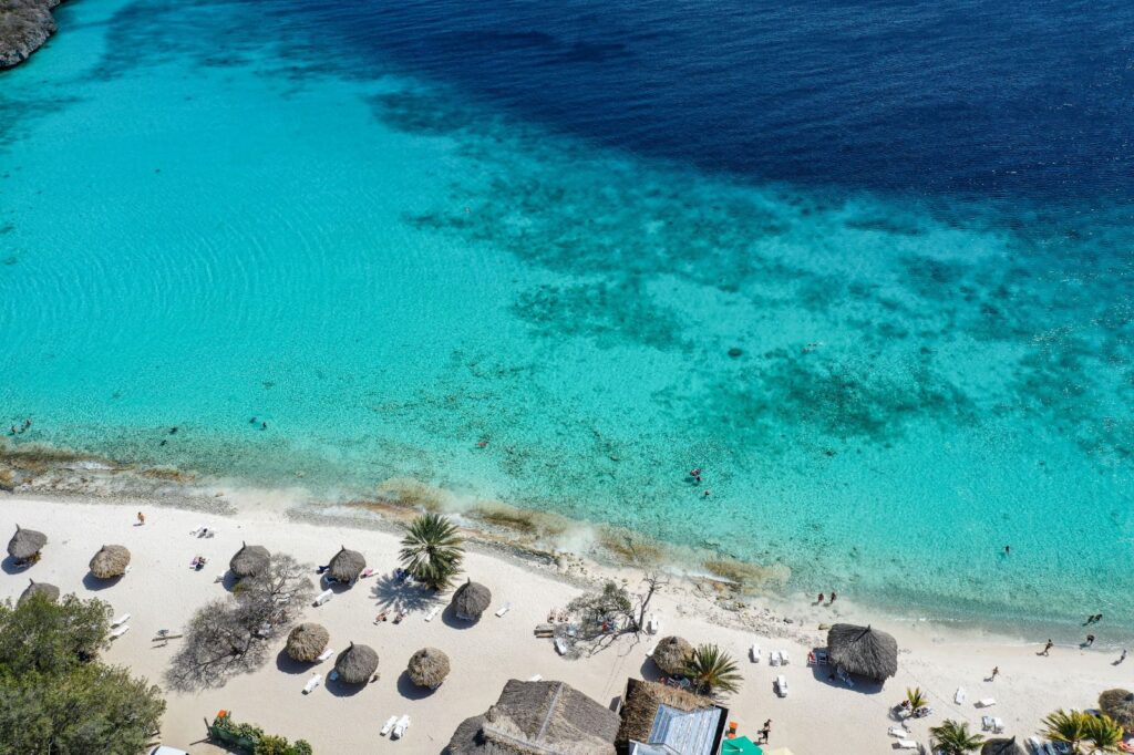 whatsapp image 2025 12 12 at 11.03.36