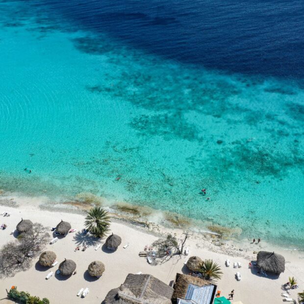 whatsapp image 2025 12 12 at 11.03.36