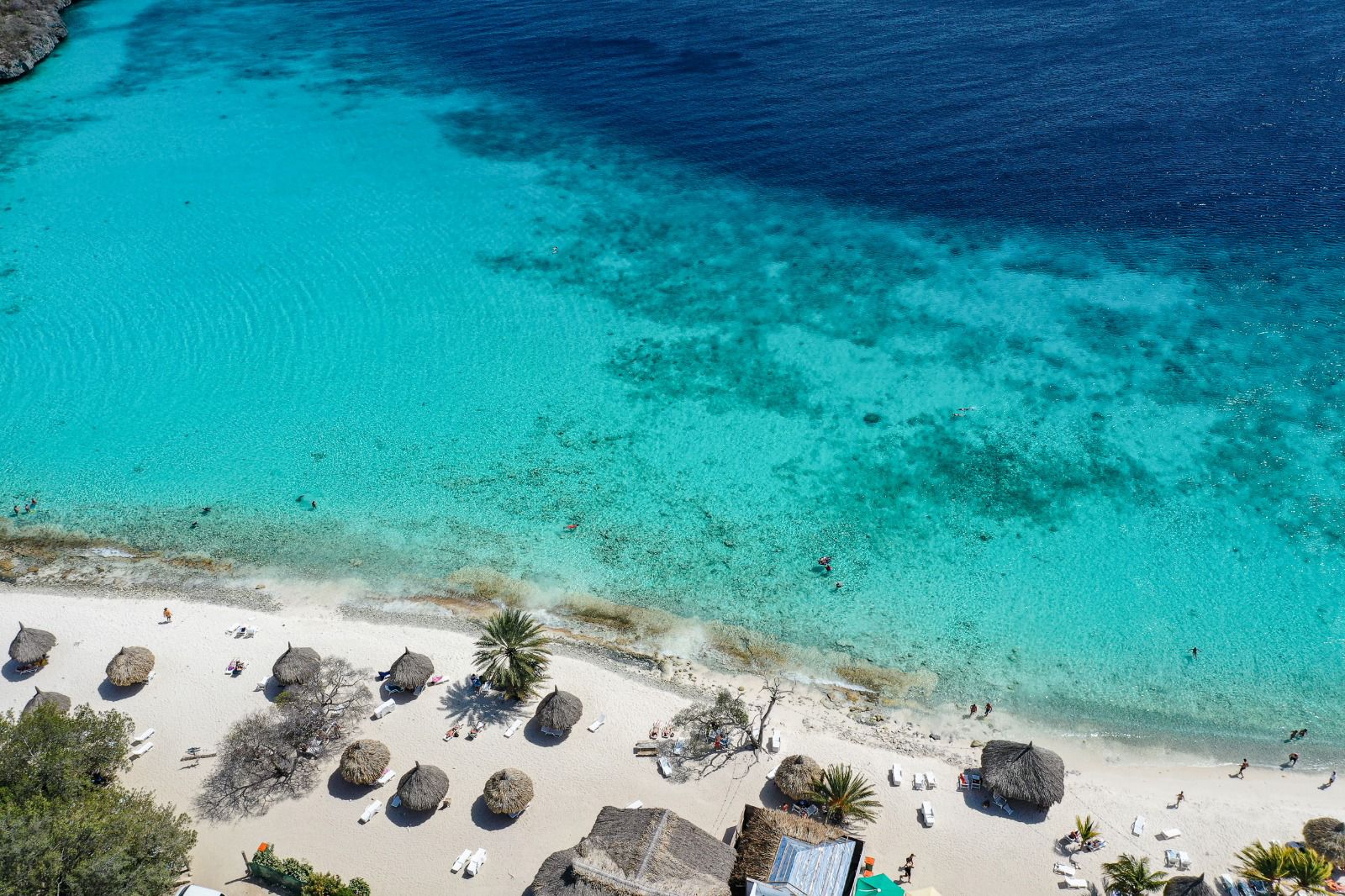 whatsapp image 2025 12 12 at 11.03.36