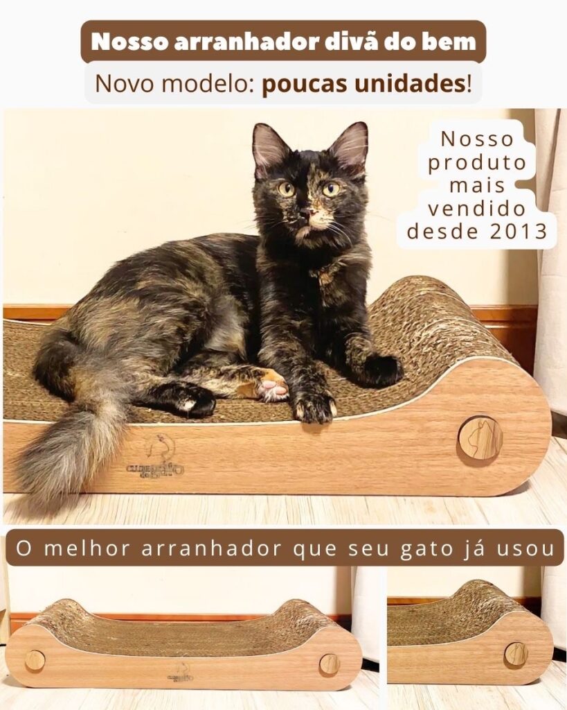 2ef248d4 8223 4758 9dd5 11e36a3351af