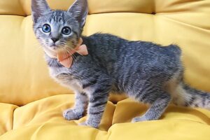 3549bddc a9d5 4138 9fb8 e29fb82f0115