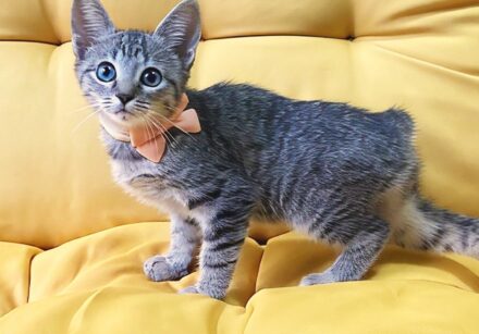 3549bddc a9d5 4138 9fb8 e29fb82f0115