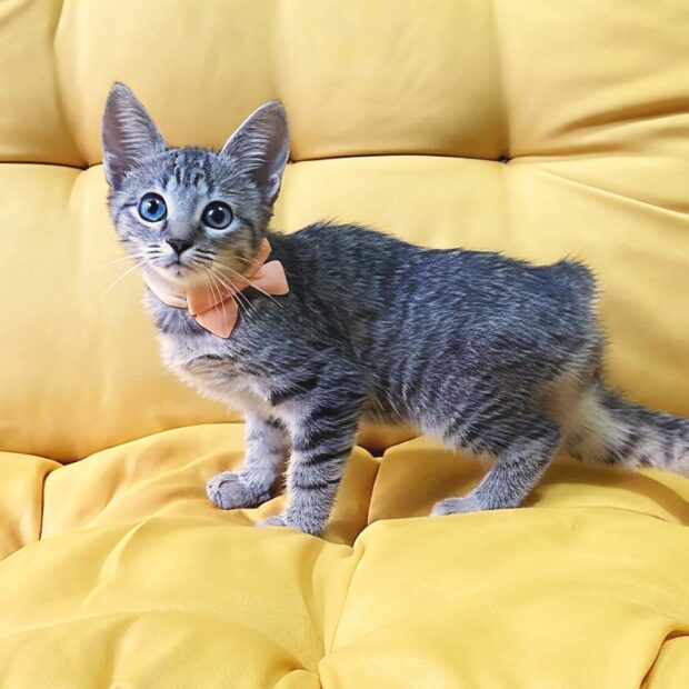 3549bddc a9d5 4138 9fb8 e29fb82f0115