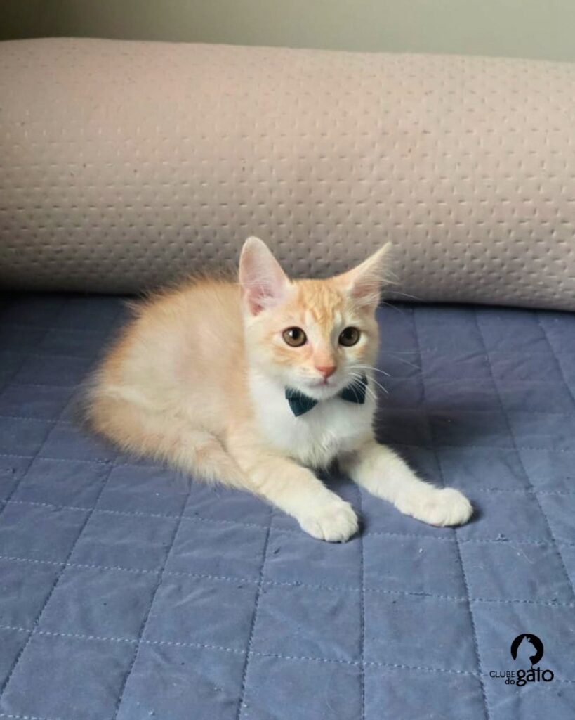 ad981101 3b61 4898 8128 42b4b75cc8ca