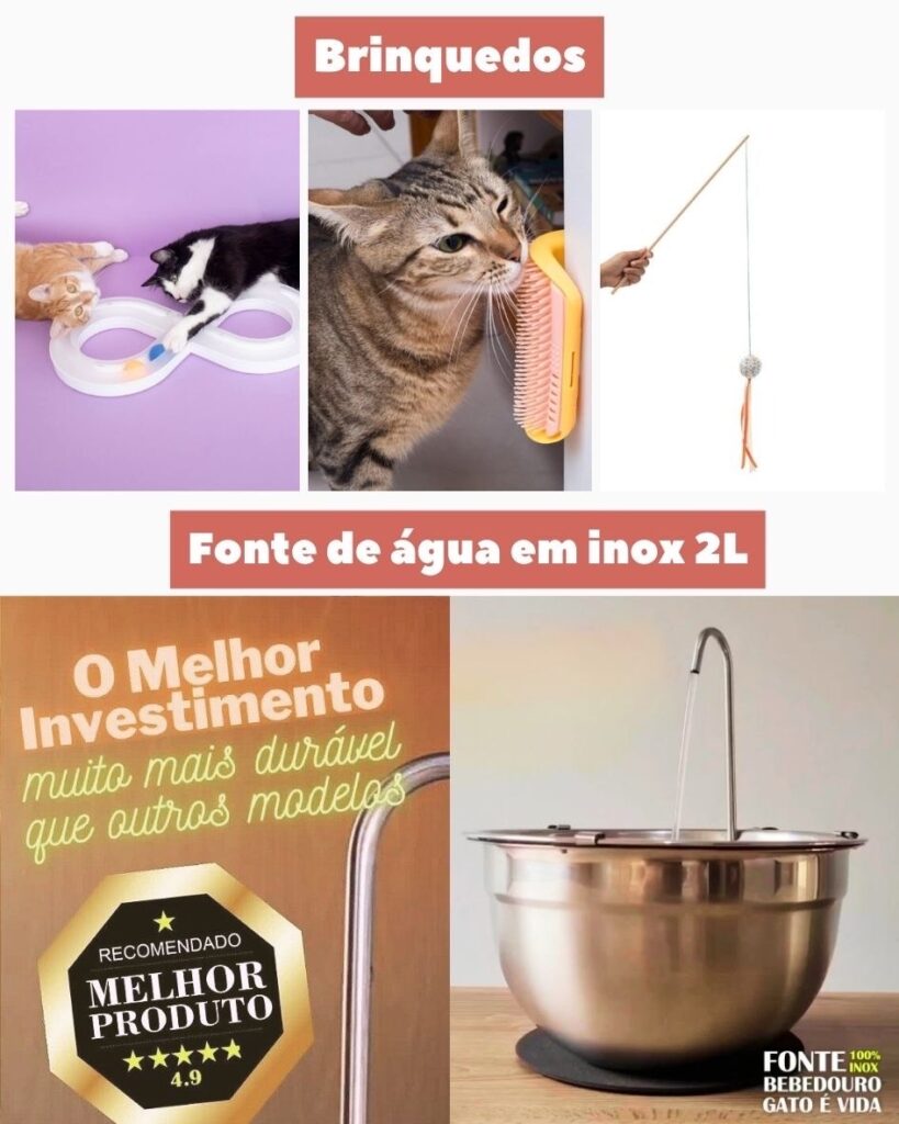 ddf81958 a46c 4248 9561 eaa51faa974b