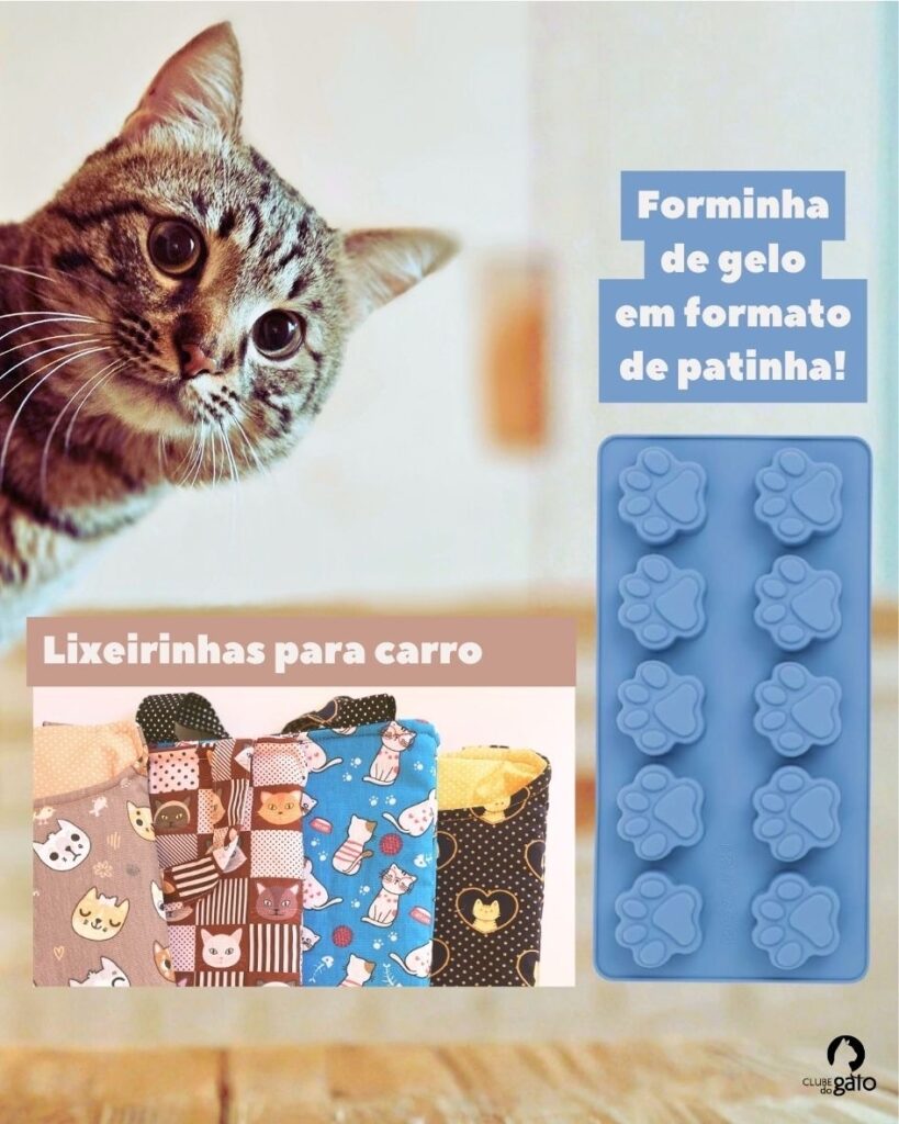 bfb93c67 fb68 4339 964e 661b35a000be (1)