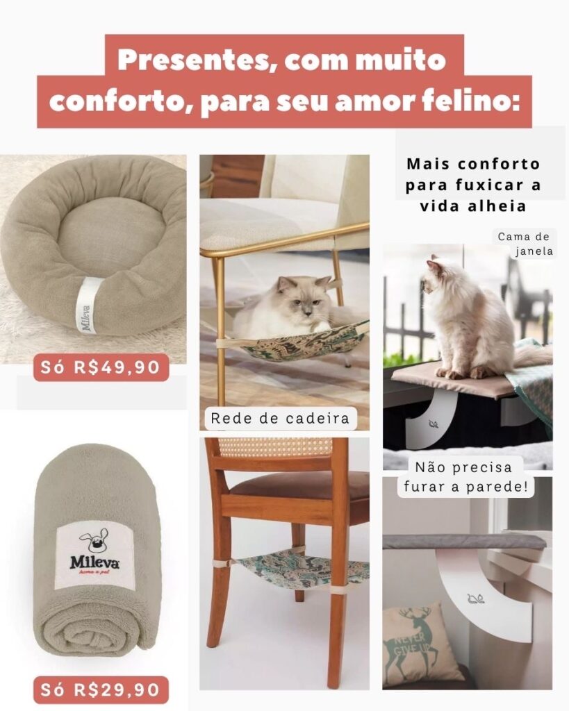 e31ae5cf a951 4c59 a849 11a67b20e937 (1)