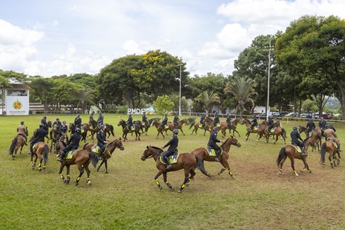 12 12 25 cavalaria 2