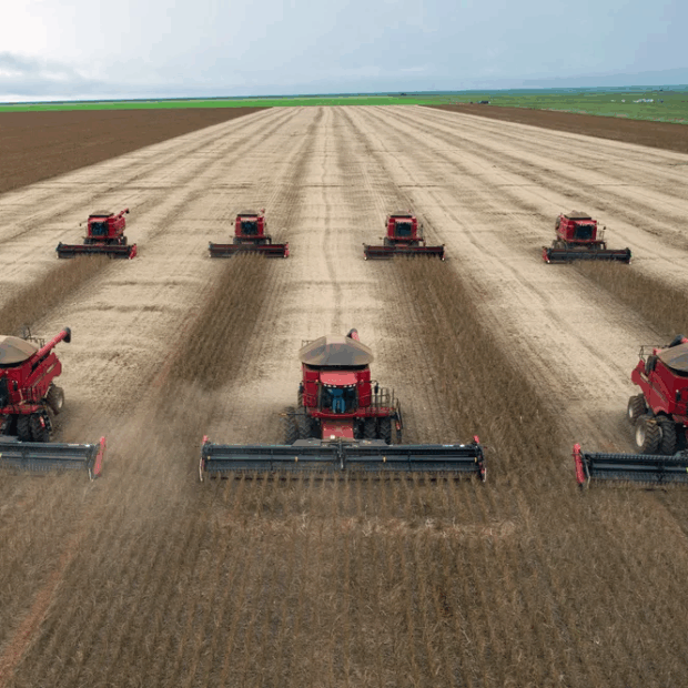 Foto: Yasuyoshi Chiba/AFP