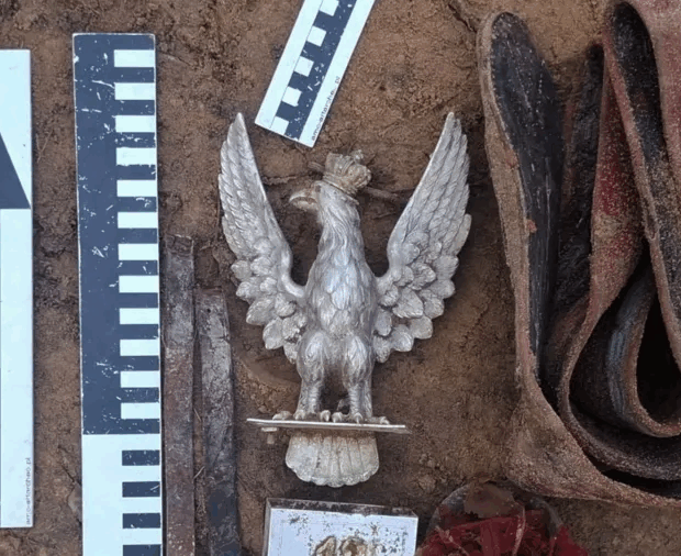 relíquia da segunda guerra é encontrada em floresta após mais de 80 anos