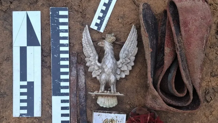 relíquia da segunda guerra é encontrada em floresta após mais de 80 anos