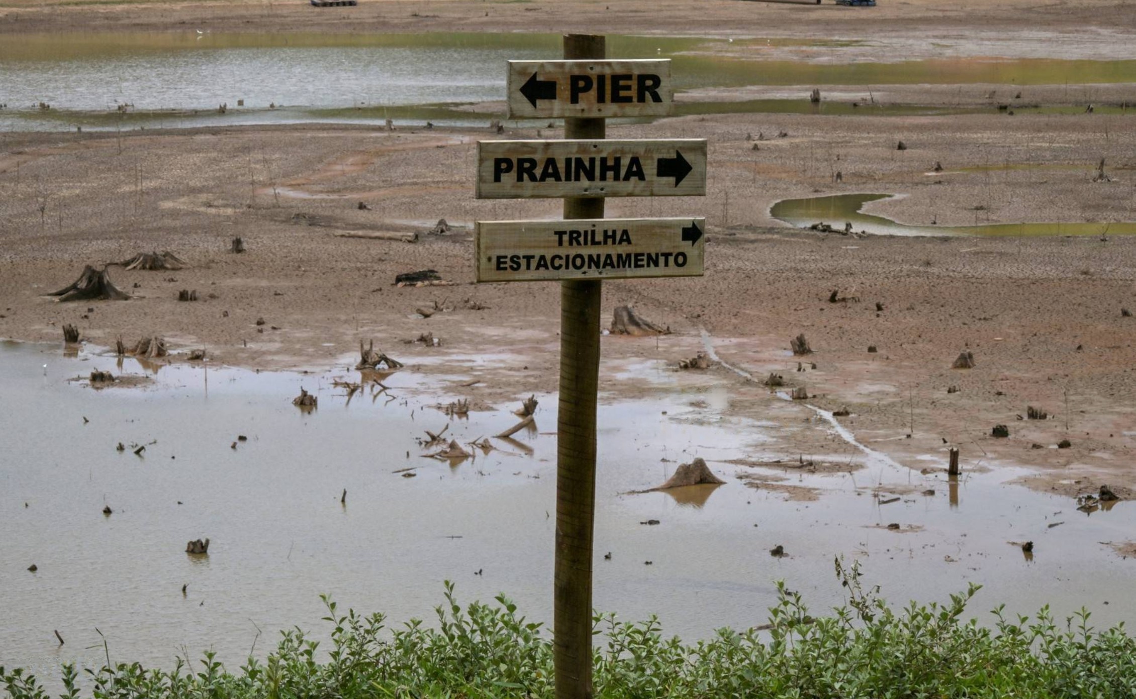 Foto: NELSON ALMEIDA / AFP