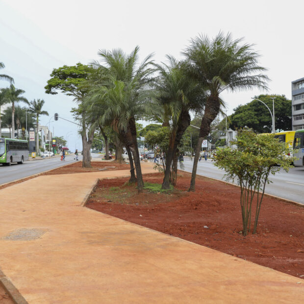 Foto: Matheus H. Souza/Agência Brasília