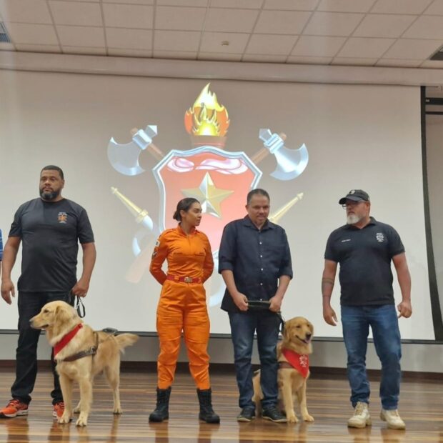 whatsapp image 2025 12 17 at 18.25.57