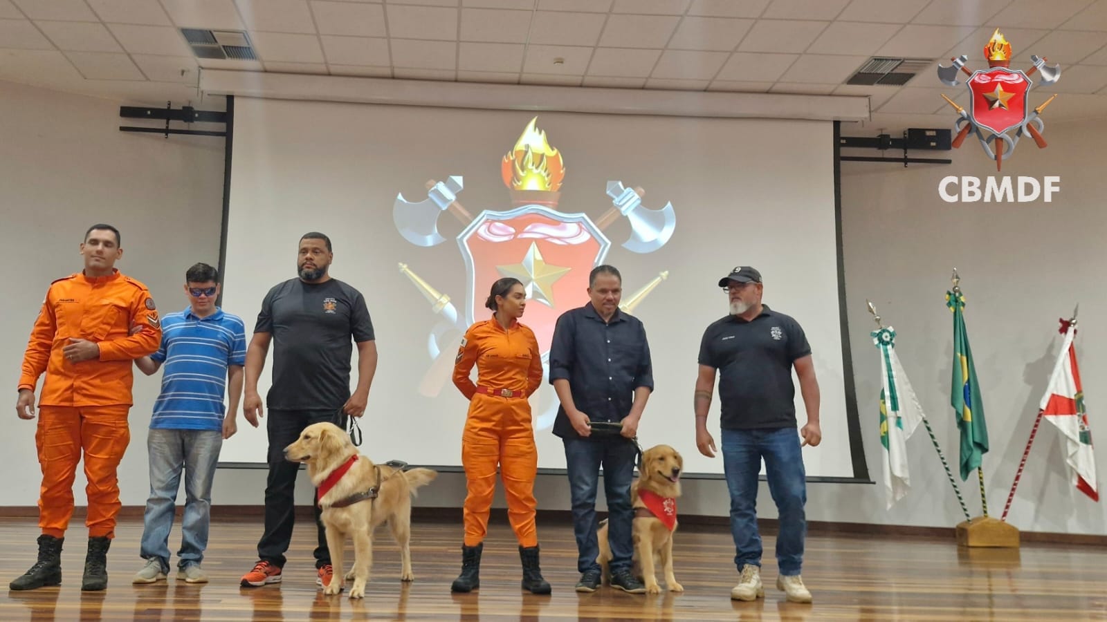 whatsapp image 2025 12 17 at 18.25.57