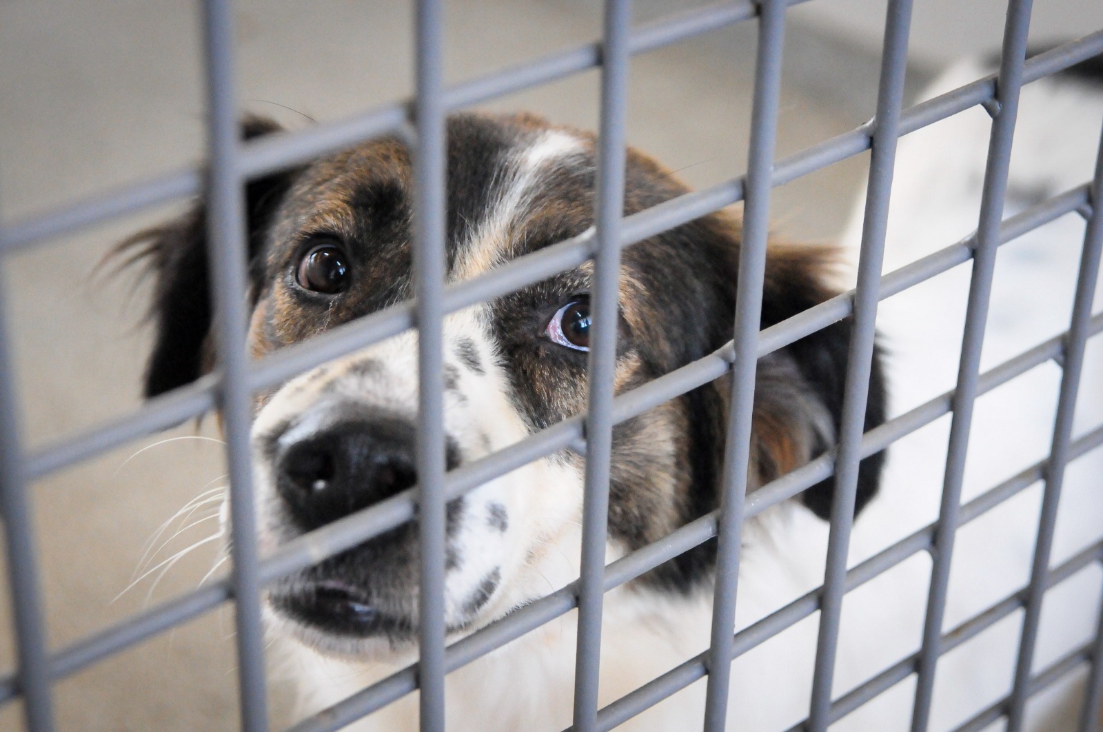 geovana albuquerque agência brasília (1)