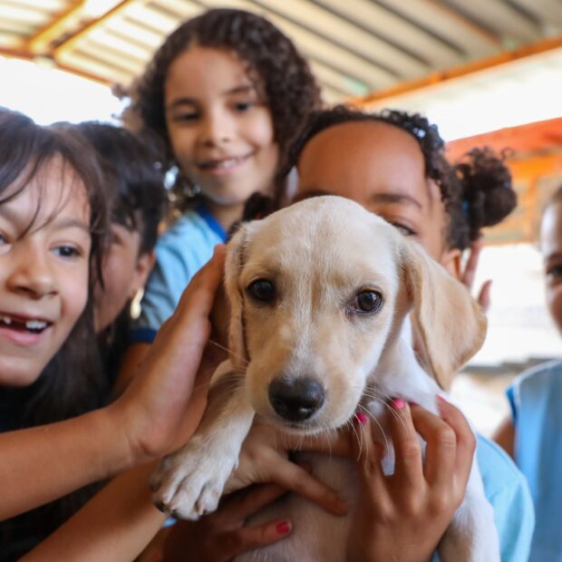 foto paulo h. carvalho agência brasília