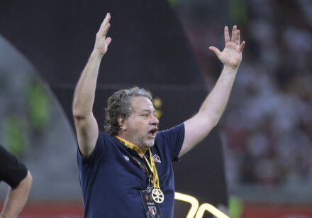 fbl bra palmeiras saopaulo