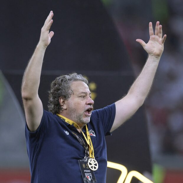 fbl bra palmeiras saopaulo