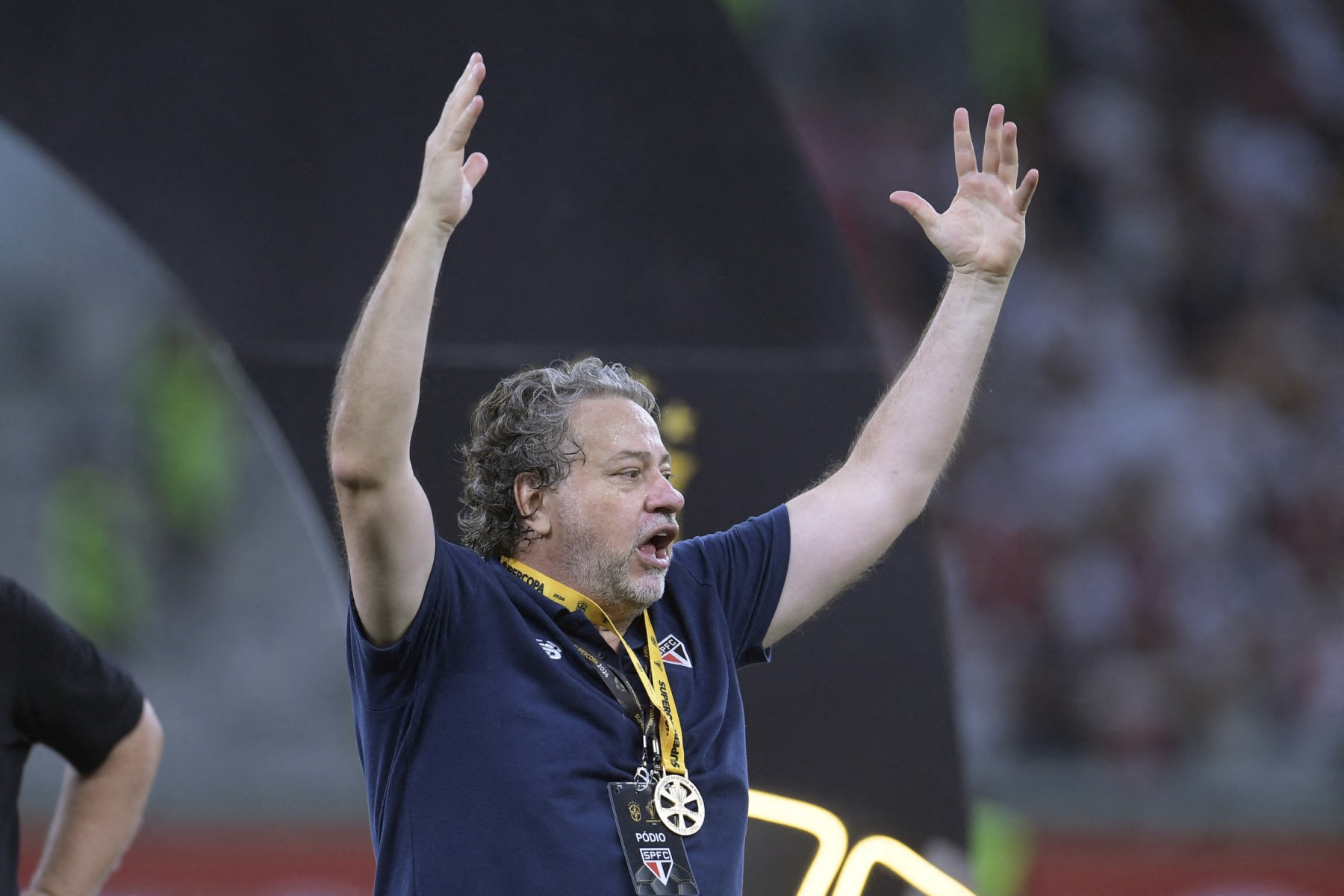 fbl bra palmeiras saopaulo