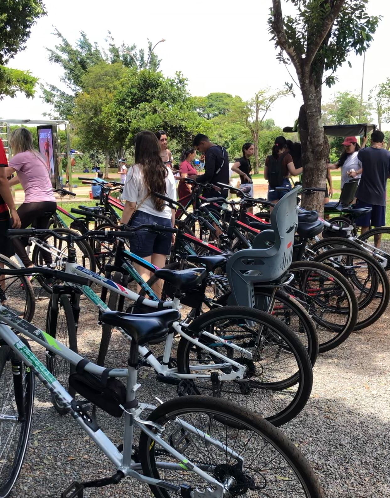 whatsapp image 2025 12 21 at 15.27.58