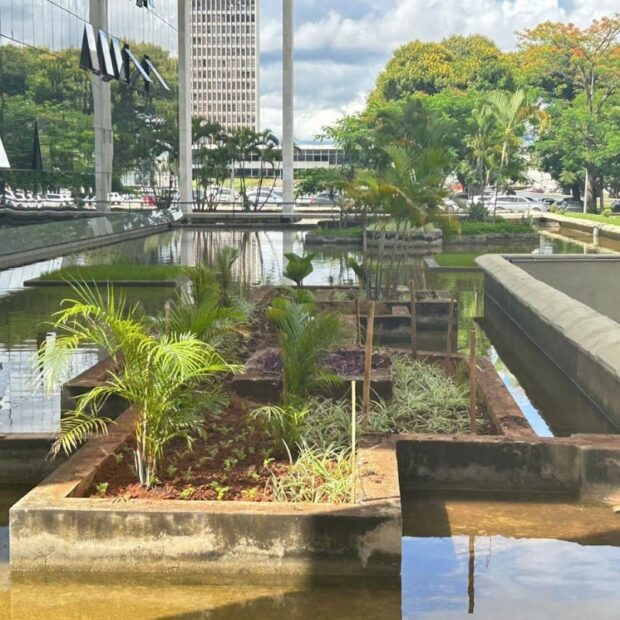 Foto: Divulgação/Novacap