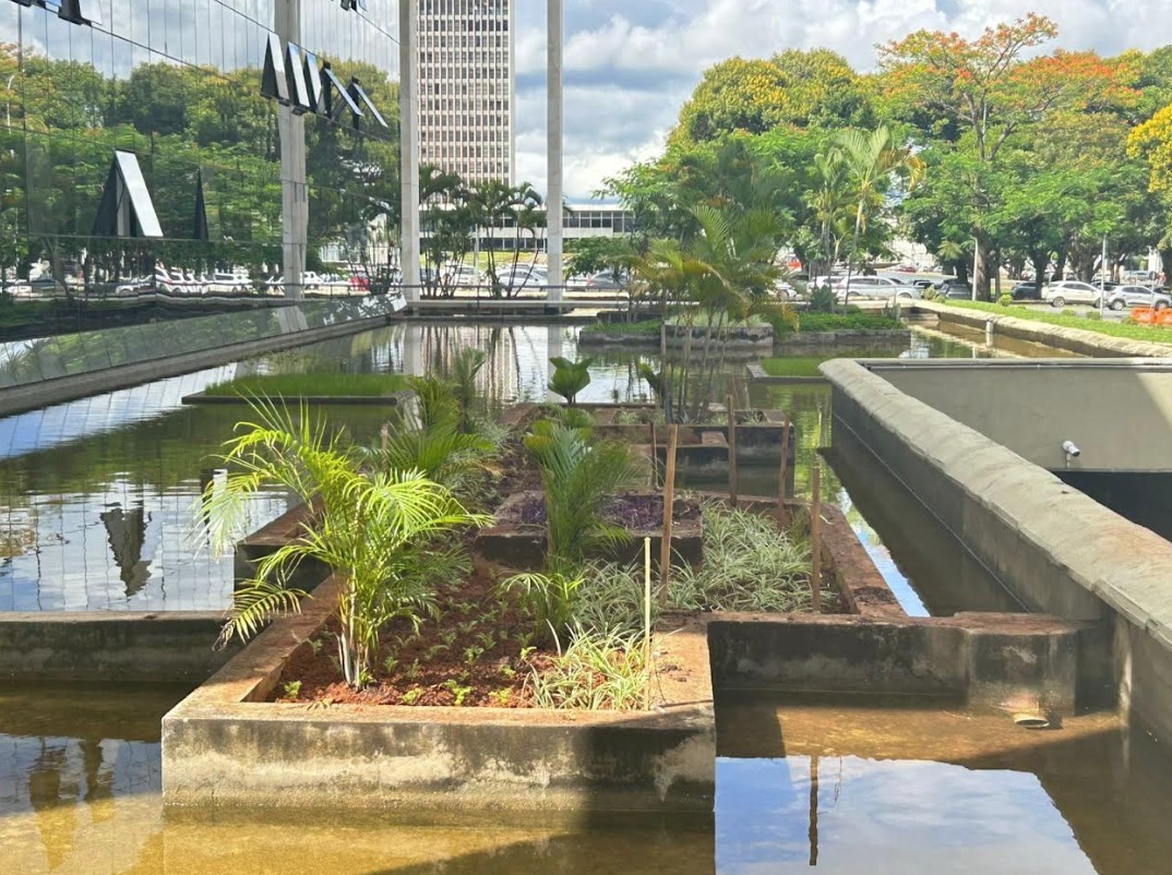 Foto: Divulgação/Novacap