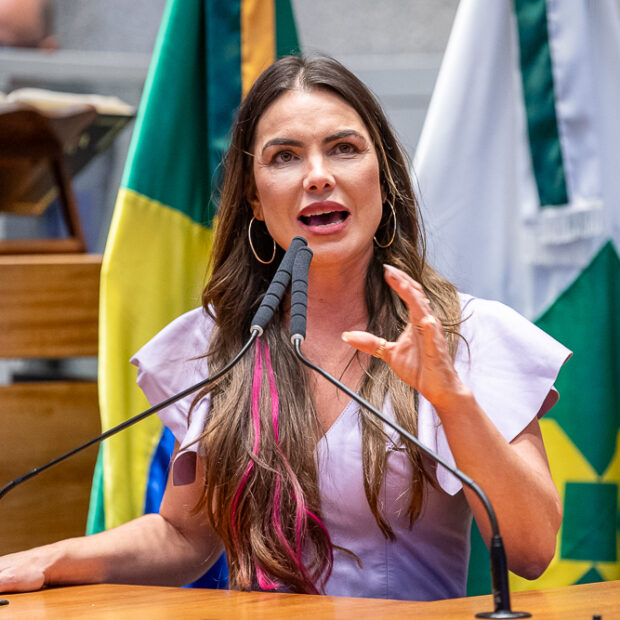 Foto: Carolina Curi/Agência CLDF