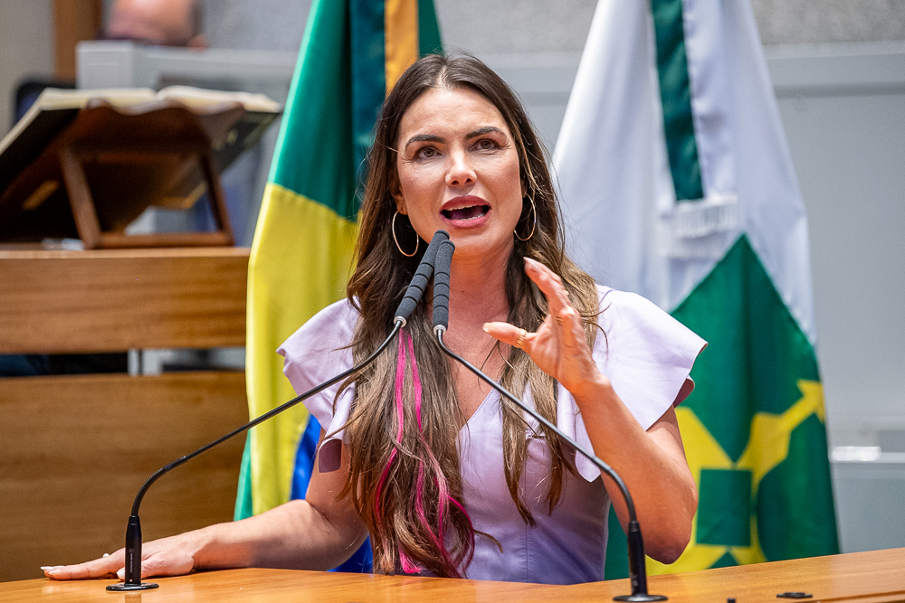 Foto: Carolina Curi/Agência CLDF