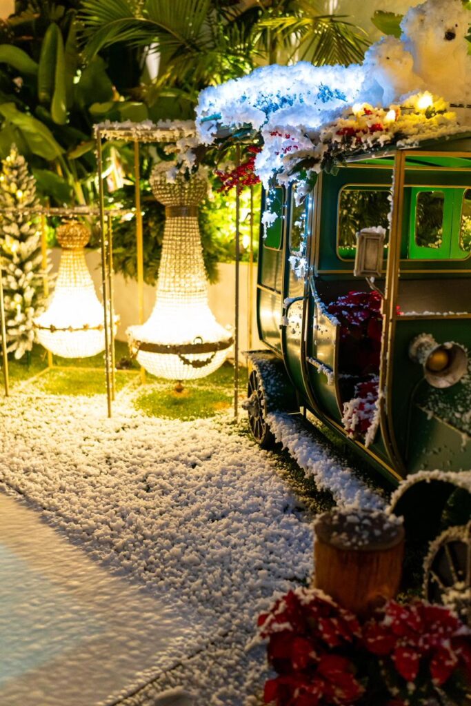 whatsapp image 2025 12 23 at 21.21.13 (1)