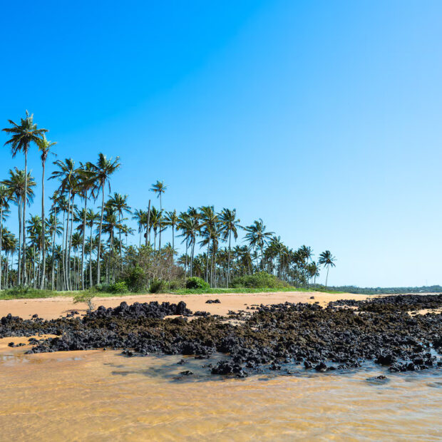 Foto: Divulgação Governo Espírito Santo