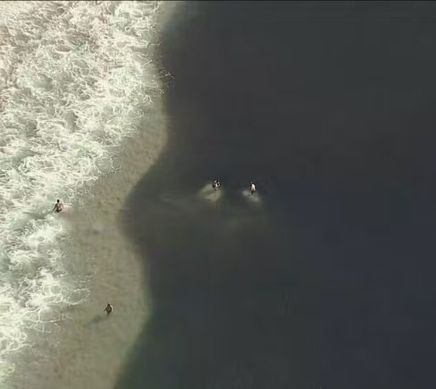 Foto: Reprodução/TV Globo