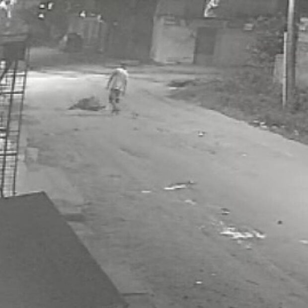 Foto: Divulgação/Polícia Civil RS